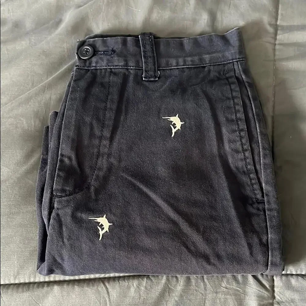 JCrew Factory Embroidered Chino Short Size 29